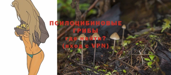 ECSTASY Балахна
