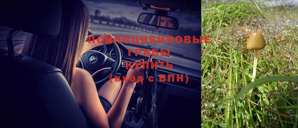 прущие крисы Баксан